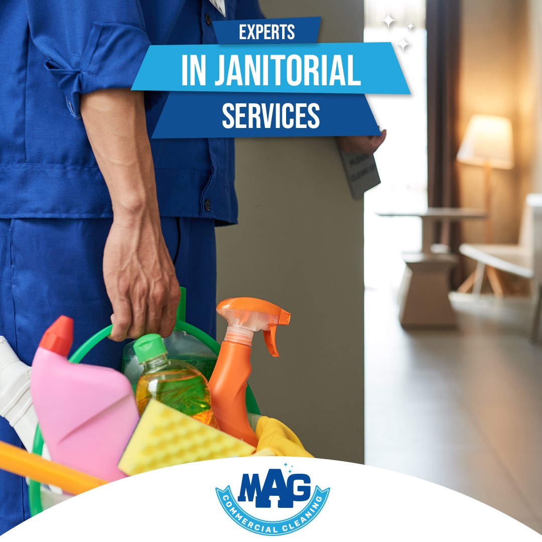 Professional Cleaning Services