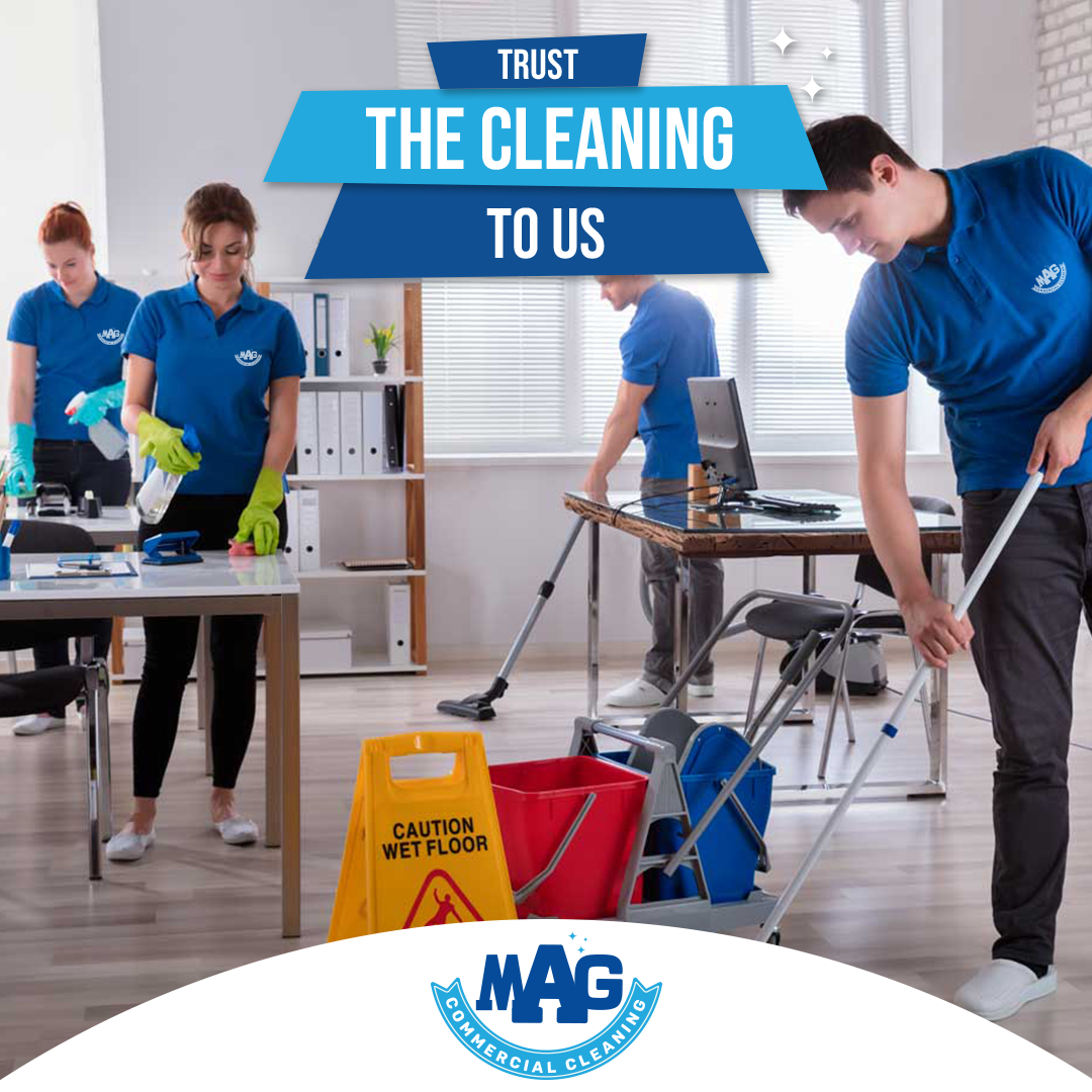 Professional Cleaning Services