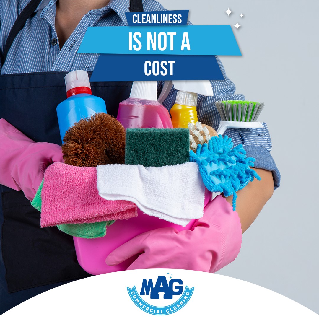 Professional Cleaning Services